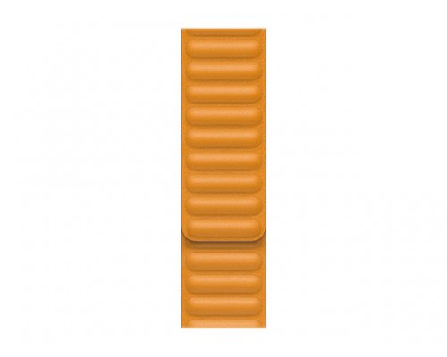 APPLE 40mm California Poppy Leather Link Large
