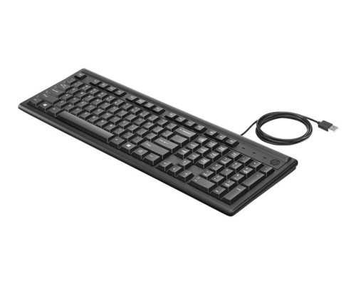 HP Keyboard 100