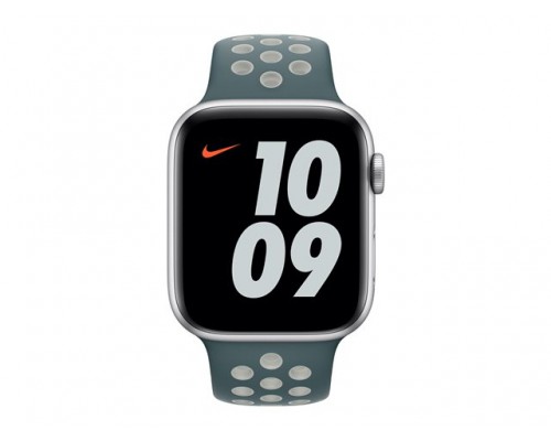 APPLE 44mm Hasta/Light Silver Nike Sport Band - Regular