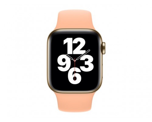 APPLE 40mm Cantaloupe Sport Band - Regular