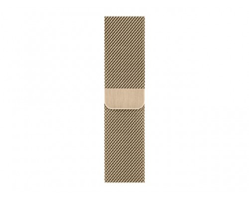 APPLE 40mm Gold Milanese Loop