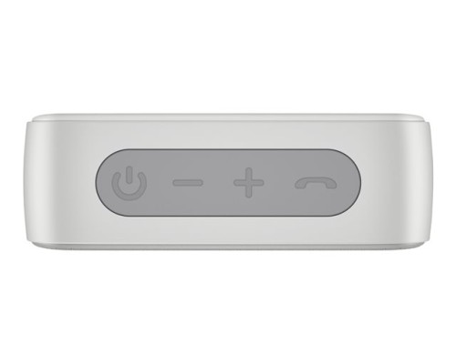 HP Simba Silver BT Speaker