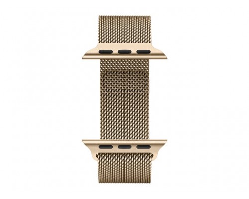 APPLE 40mm Gold Milanese Loop