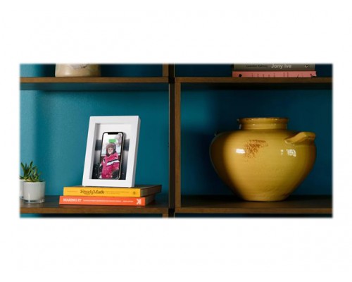 TWELVE SOUTH PowerPic white