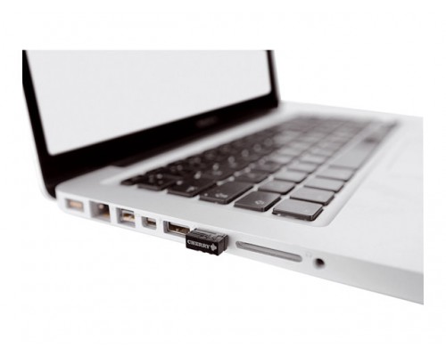 CHERRY MW 3000 Wireless Mouse black USB-Nano-Receiver right-handed