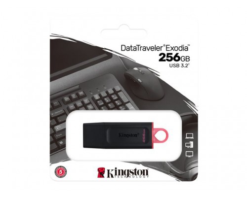 KINGSTON 256GB USB3&period;2 Gen1 DataTraveler Exodia Black &plus; Pink