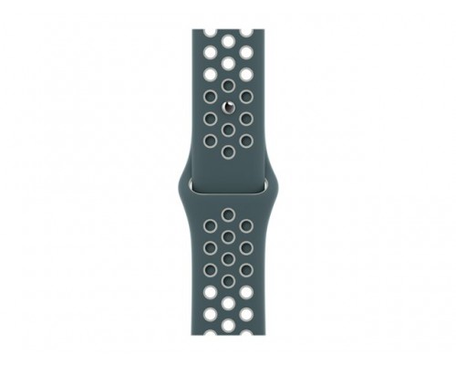 APPLE 40mm Hasta/Light Silver Nike Sport Band - Regular