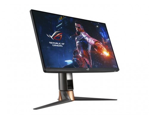 ASUS ROG Swift PG259QNR 24&period;5inch IPS FHD 16&colon;9 360Hz 1ms 400cd&sol;m2 HDMI DP USB 2x3&period;0