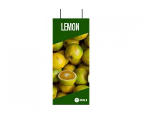 OKI FASTDISP A3 ceiling METAL 30x141CM