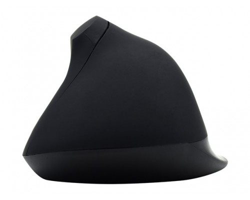 EWENT USB Ergonomic mouse 1&period;25m