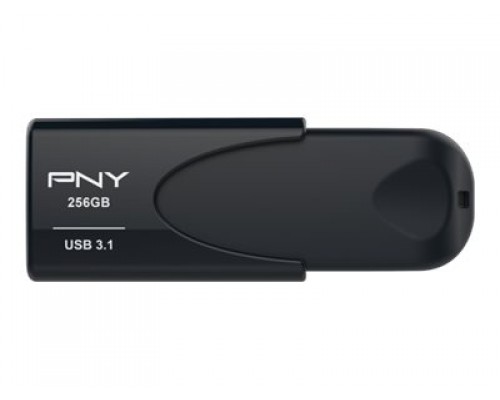 PNY Attache 4 3&period;1 256GB