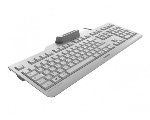 CHERRY SECURE BOARD 1&period;0 grey &lpar;BE&rpar;