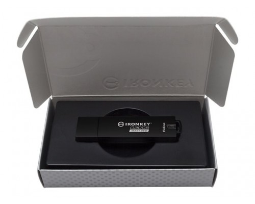 KINGSTON 64GB D300SM AES 256 XTS Encrypted USB Drive