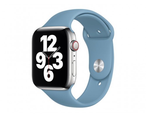 APPLE 44mm Northern Blue Sport Band - Regular
