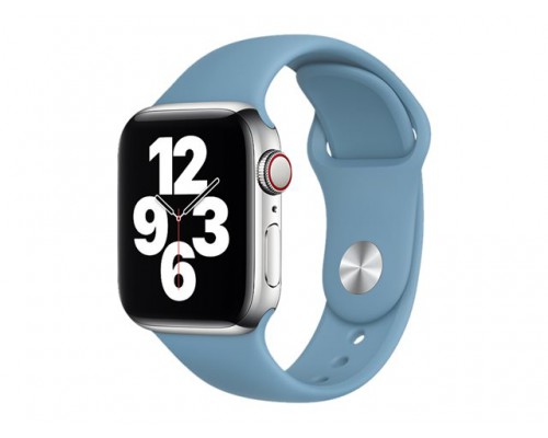 APPLE 40mm Northern Blue Sport Band - Regular