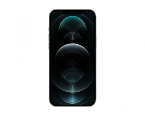 APPLE iPhone 12 Pro Max 256GB Silver