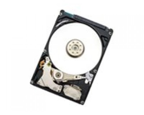 WESTERN DIGITAL Endurastar J4K320 250GB HDD 4260rpm SATA 8MB cache 2&comma;5inch internal HEJ423225H9E300